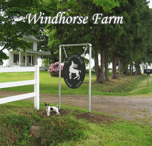 Welcome to Windhorse Farm