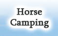 Horse Camping
